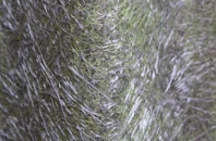 Blaencaerau fibreglass roof work